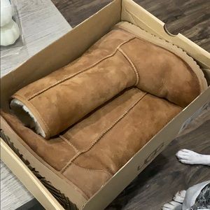Chestnut Ugg Boot